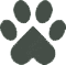 pet-friendly-accommodation-cederberg